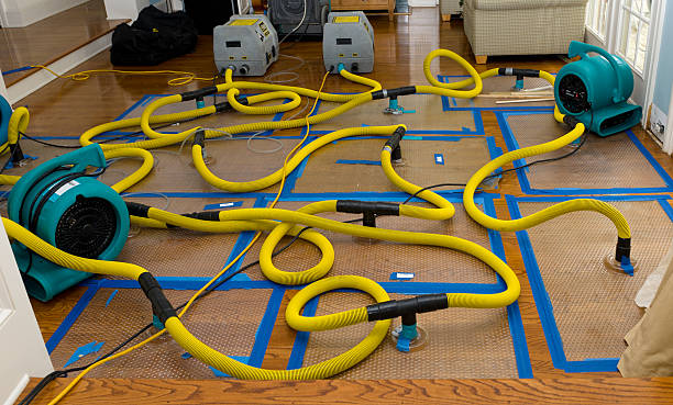 Professional Crawl Space Water Removal technician working in Rockwood, ME